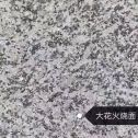 商丘 芙蓉白（芝麻白大花）火烧面