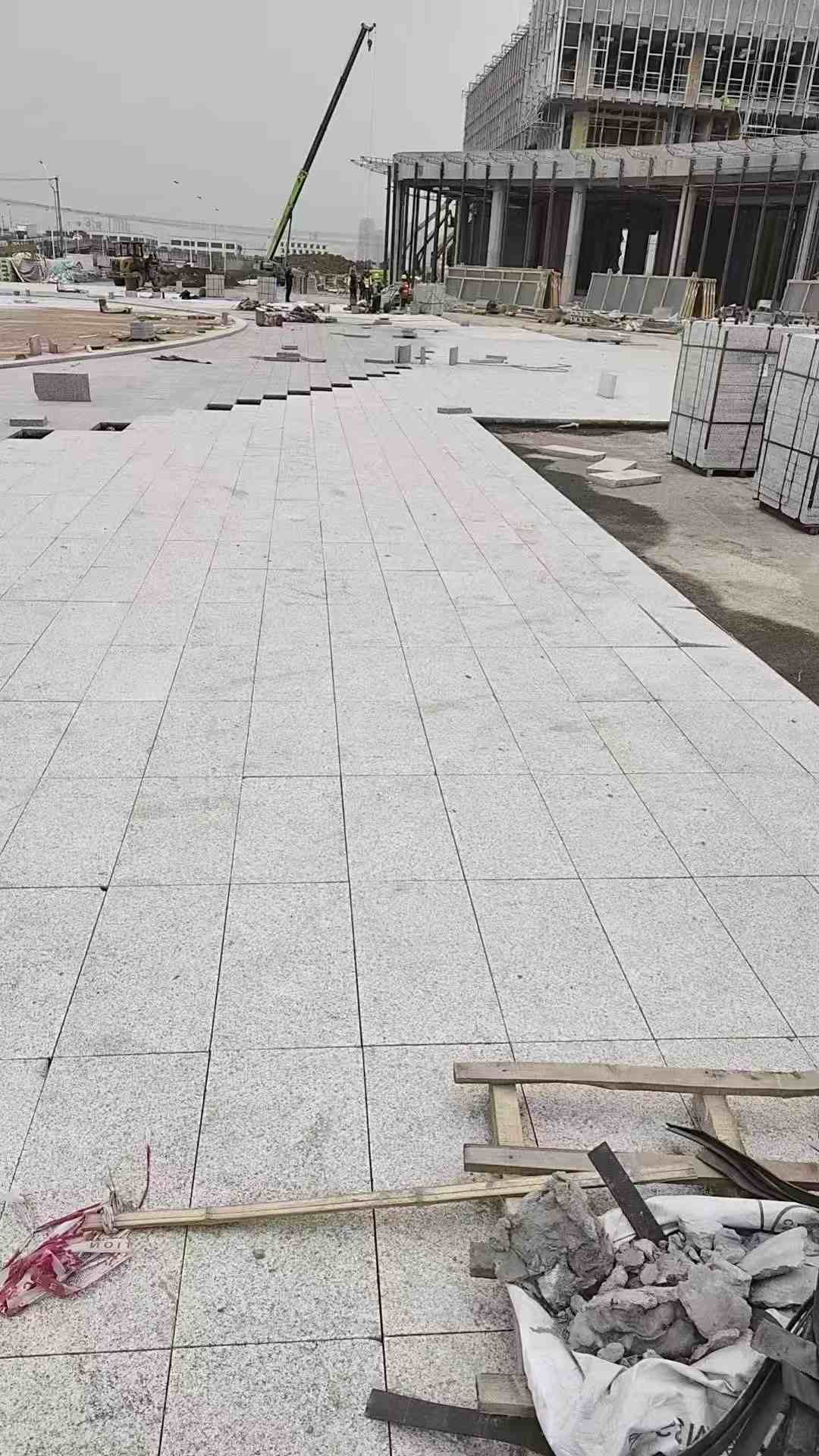 商丘芝麻白地铺案例
