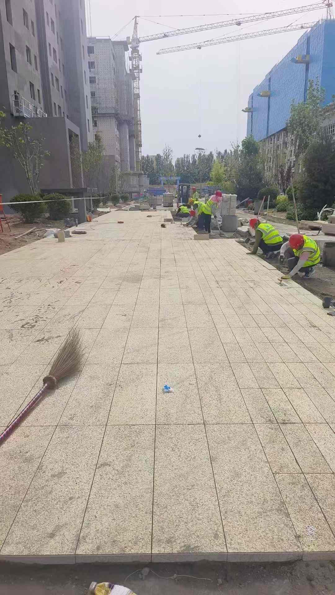 商丘黄金麻荔枝面地铺案例
