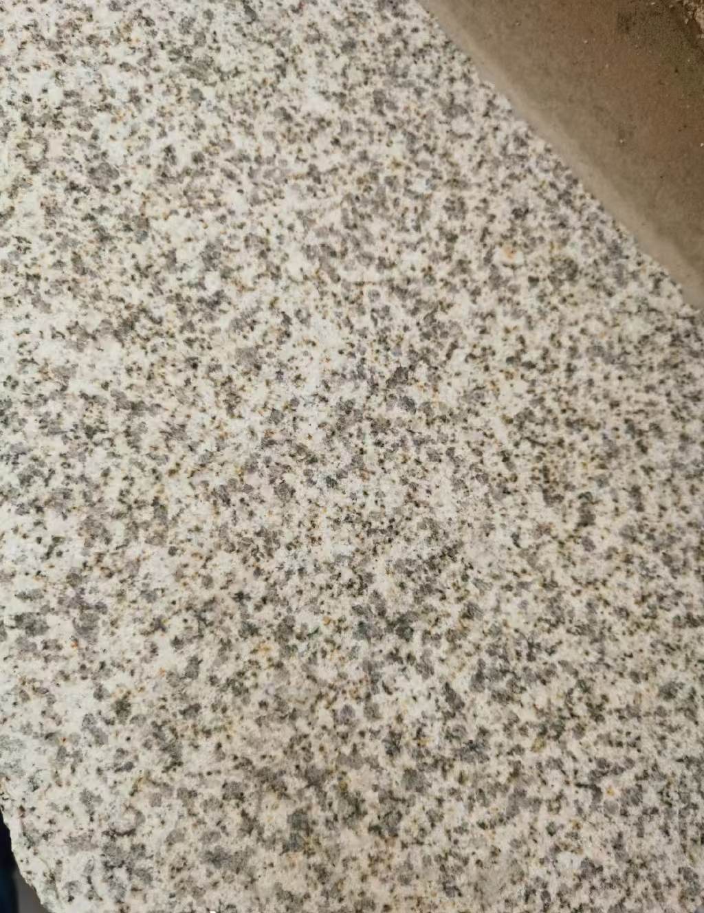 商丘 黄金麻中黄光面