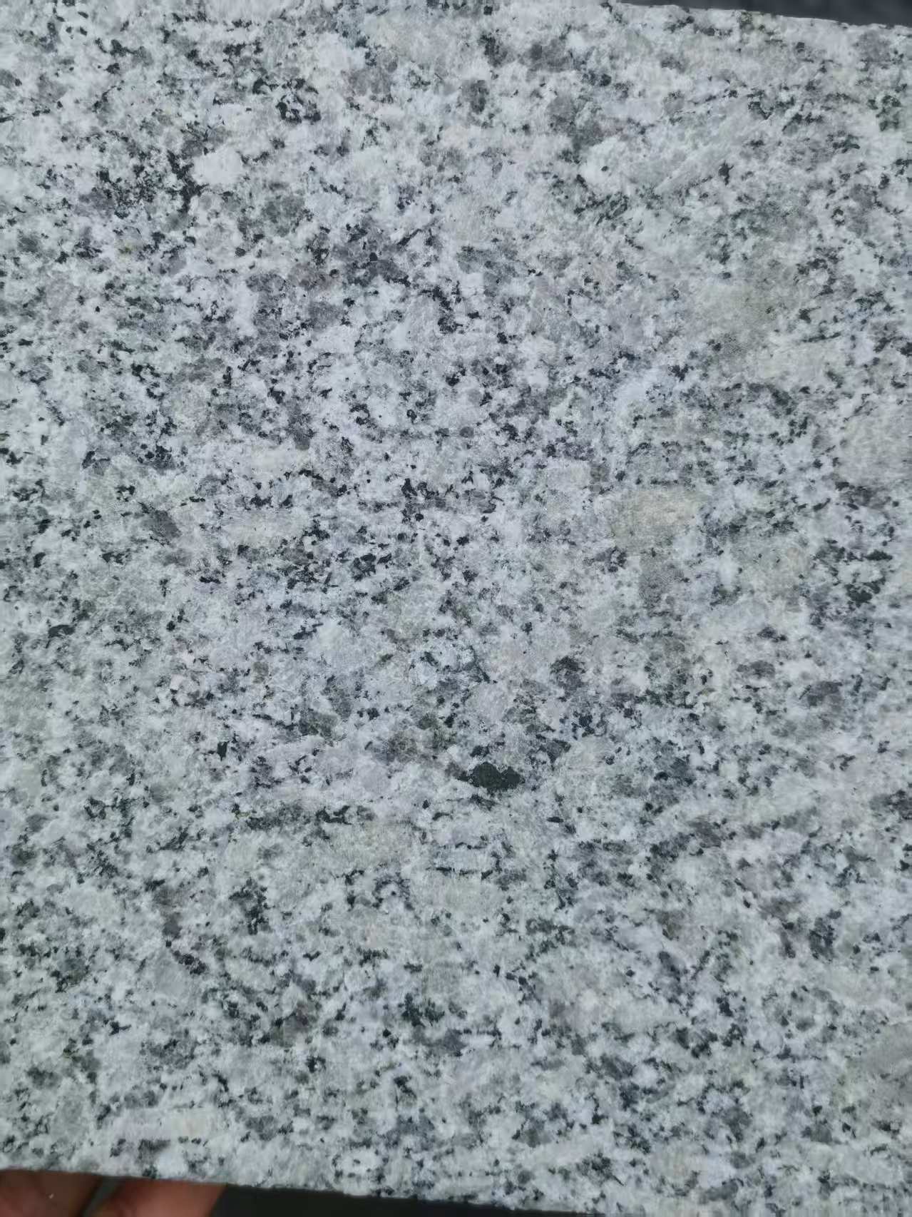 商丘 芙蓉白火烧面